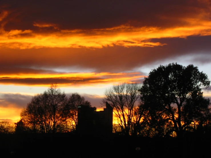 a large field with trees and a red cloudy sky