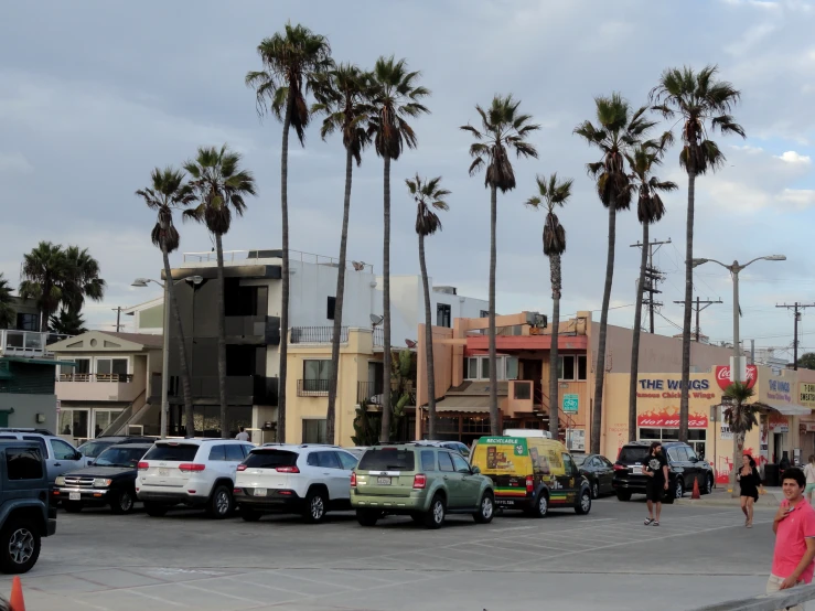 this is a street with palm trees in front of buildings