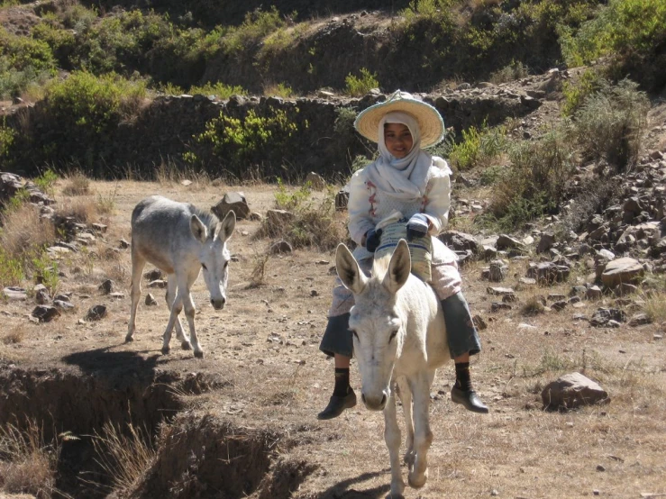 two young children riding donkeys in the desert