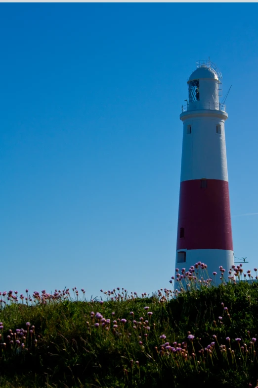 a red and white lighthouse sitting on top of a lush green hillside