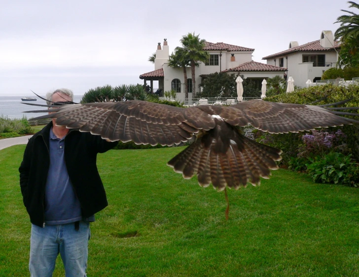 a man holding out his bird to the camera