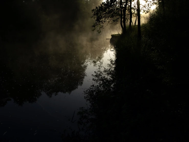 the trees are reflected in the water in the night