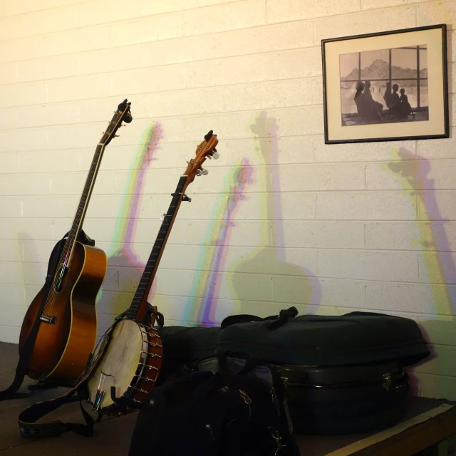 two guitar and a guitar case with one sitting down in a room