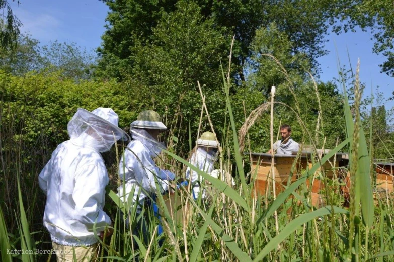 three people are in a field with animals