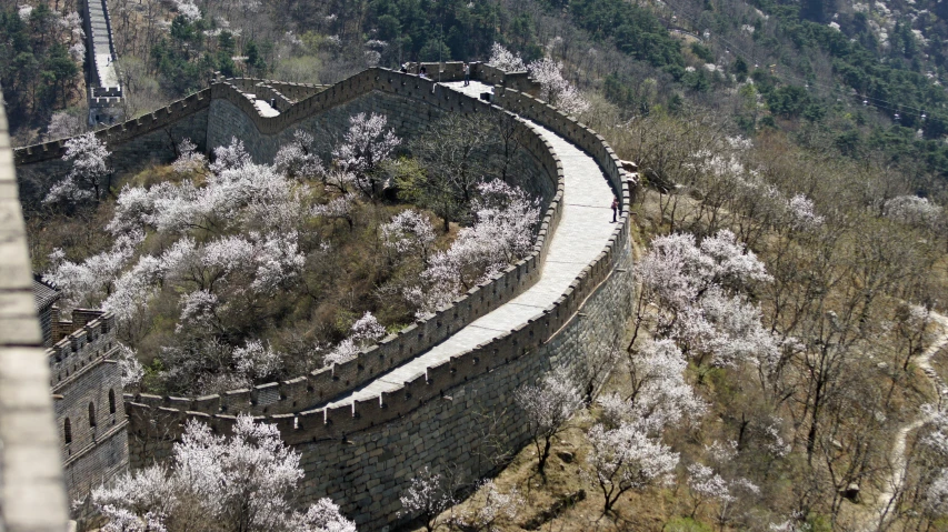 a great wall next to some trees with white blossoms on it