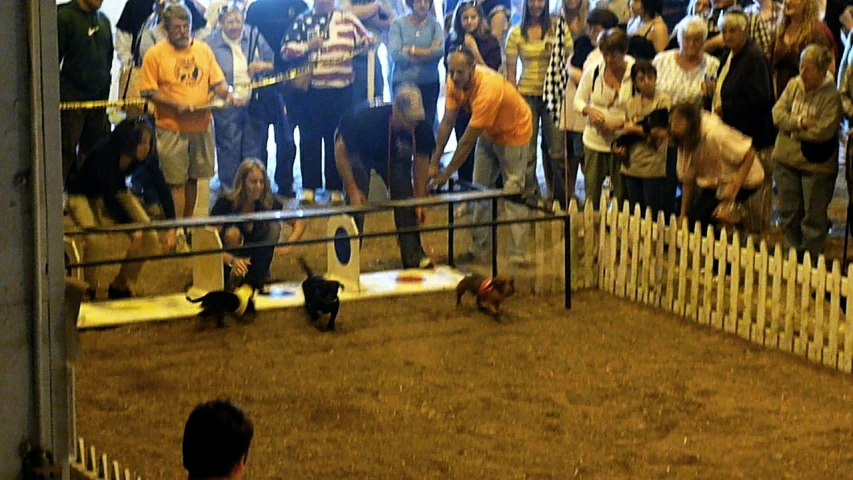 a crowd of people are standing around a fence