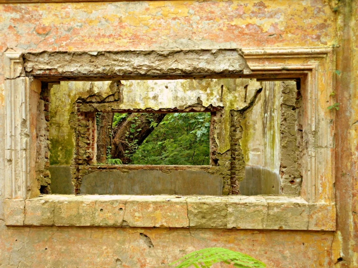 a window on an old brick wall covered in leaves