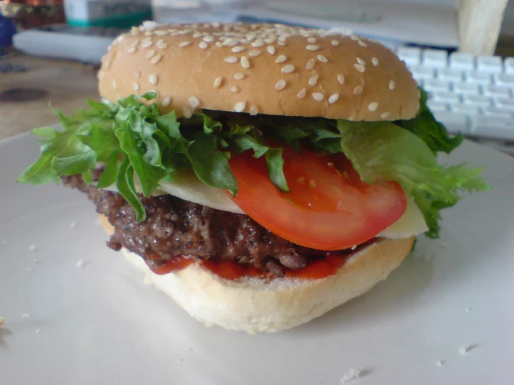 a hamburger with lettuce tomato and cheese