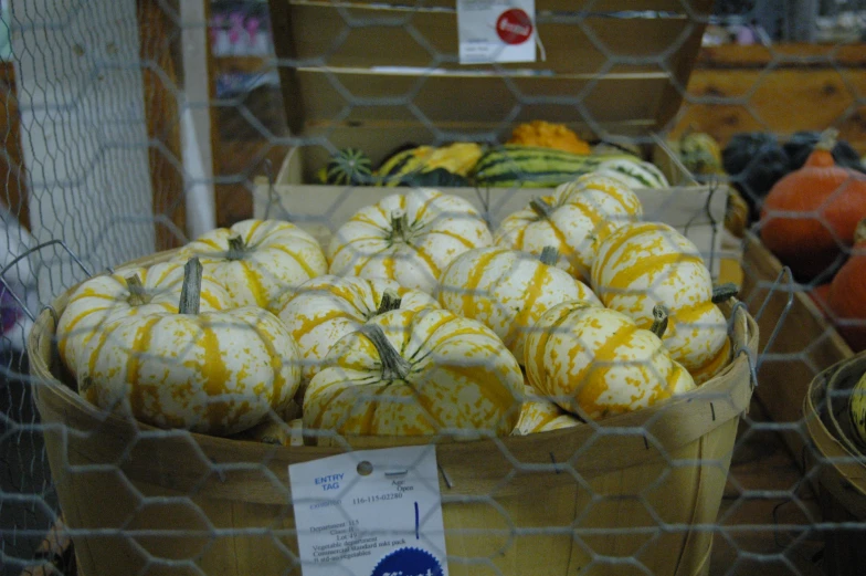 oranges on display at a store behind a mesh fence