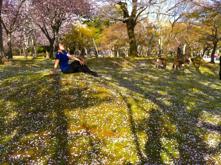 a man sitting on the grass near a deer in a park