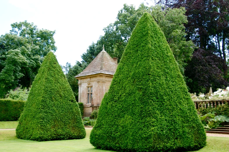 some very long hedges in front of a building