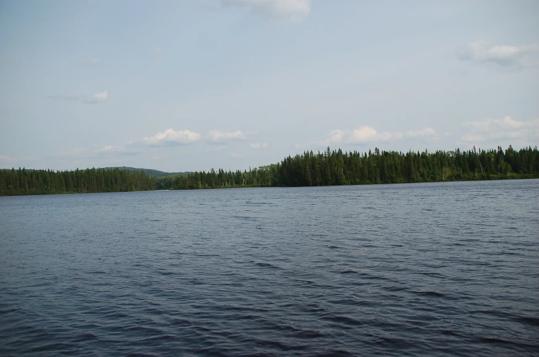 an island with several trees on both sides of the water