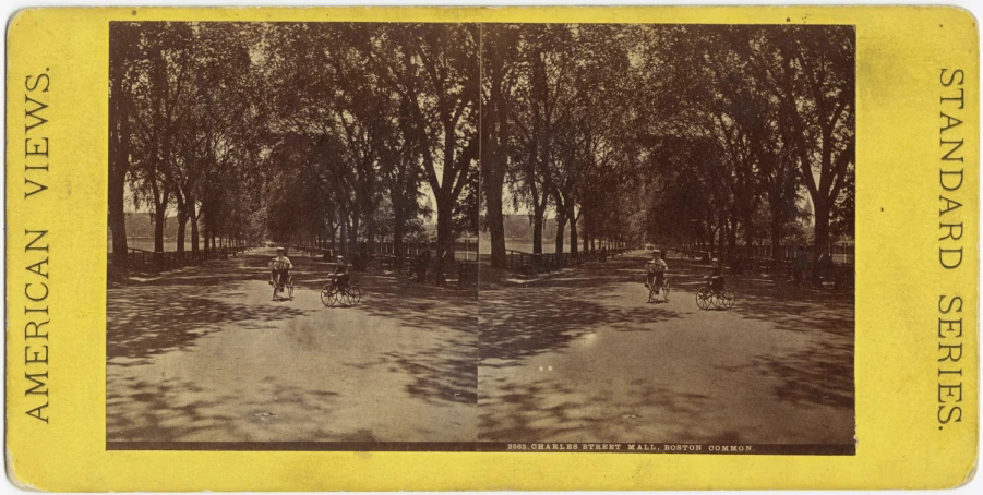 two people in bikes traveling through a park