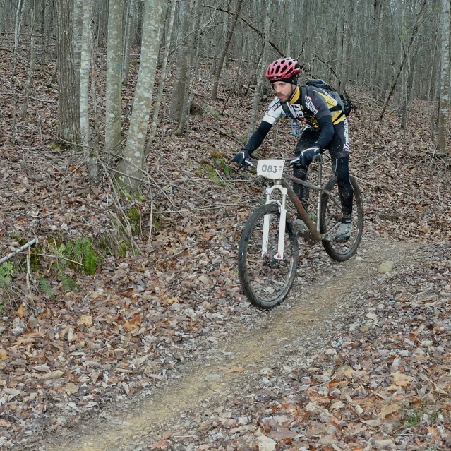 a mountain biker in the forest on his bicycle