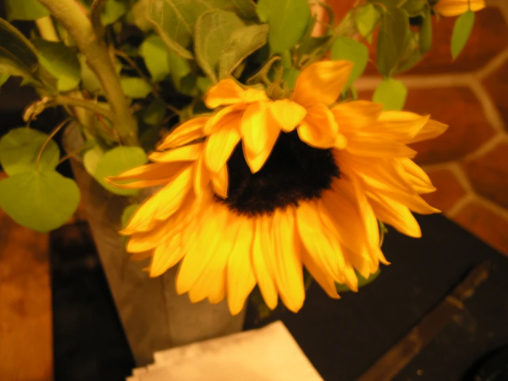 a yellow sunflower sitting on top of a white napkin