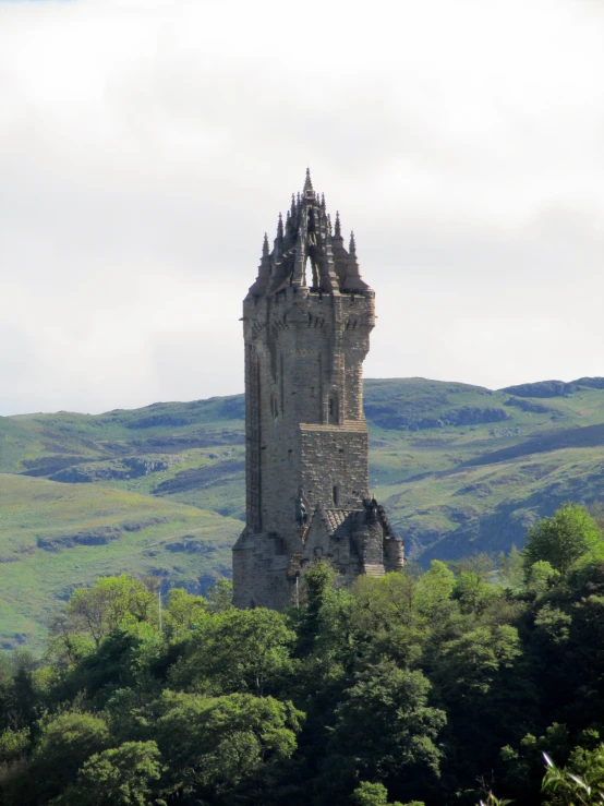 a tall tower surrounded by lush green trees