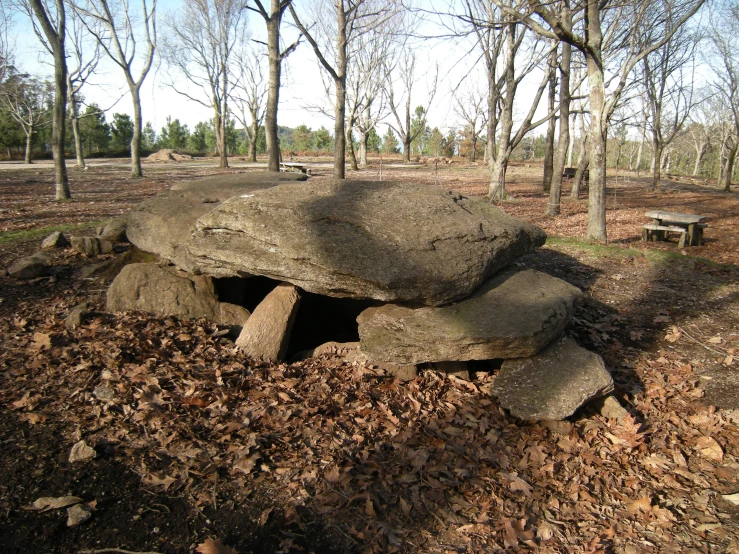 a rock structure in the woods at autumn