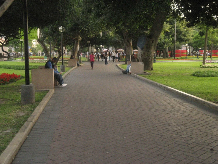 people in the distance walking on a pathway near a tree