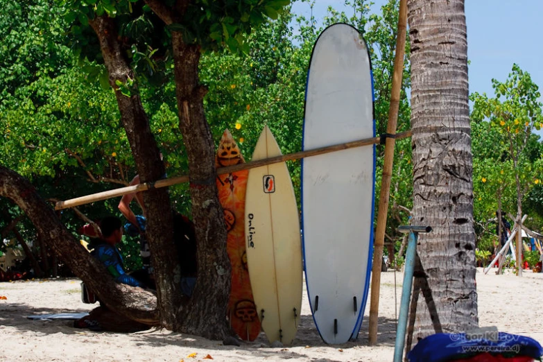 a beach with a few surfboards lined up against it