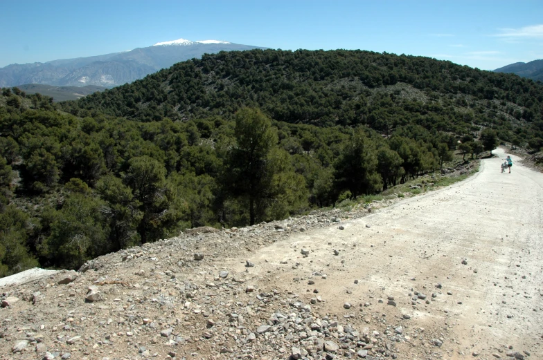 a person on a bike is riding down the hill