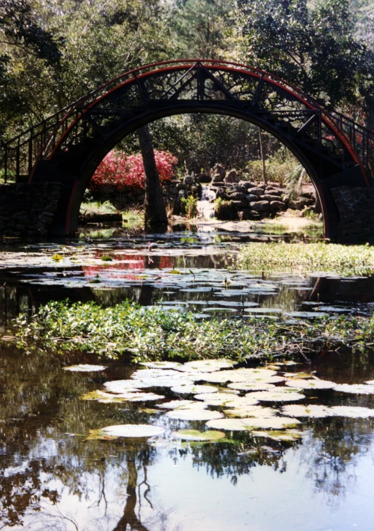 an arched bridge spanning a pond in a garden