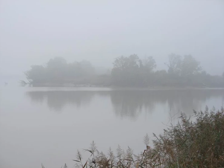 the fog covers a large body of water