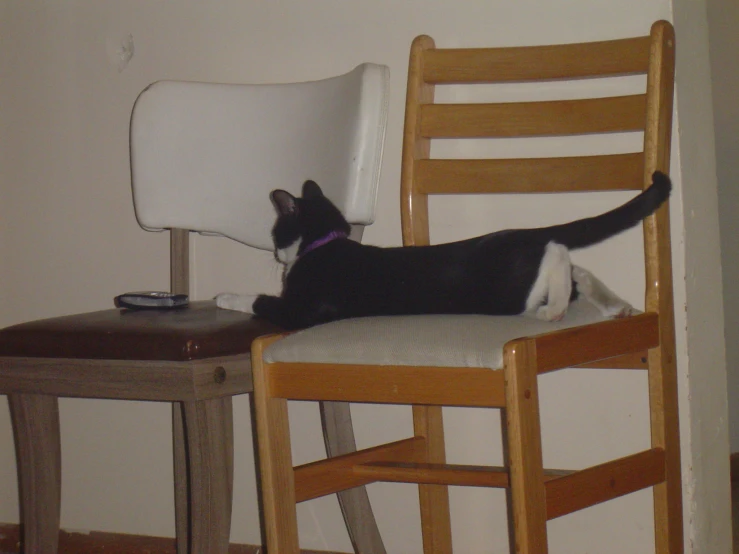 a cat is stretching out on a chair that is propped up