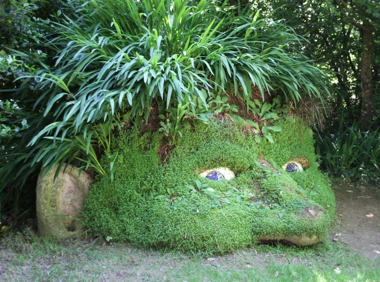 there is a small fake face made of plants