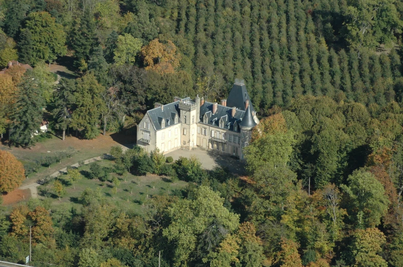 an aerial view of a large castle near a forest