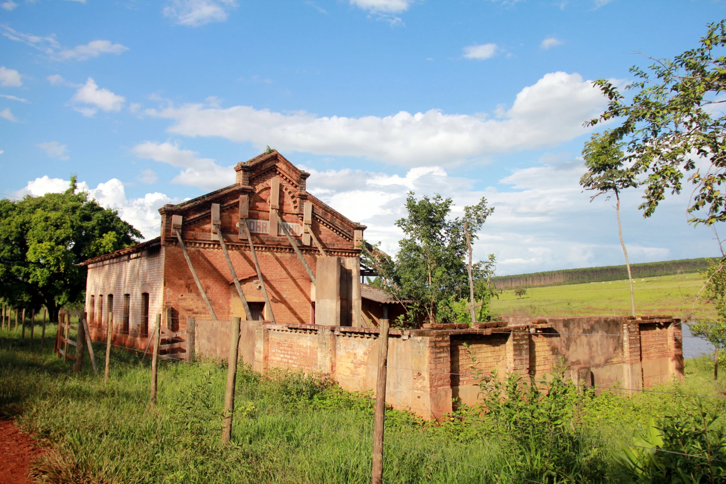 there are many structures in the house and tree's