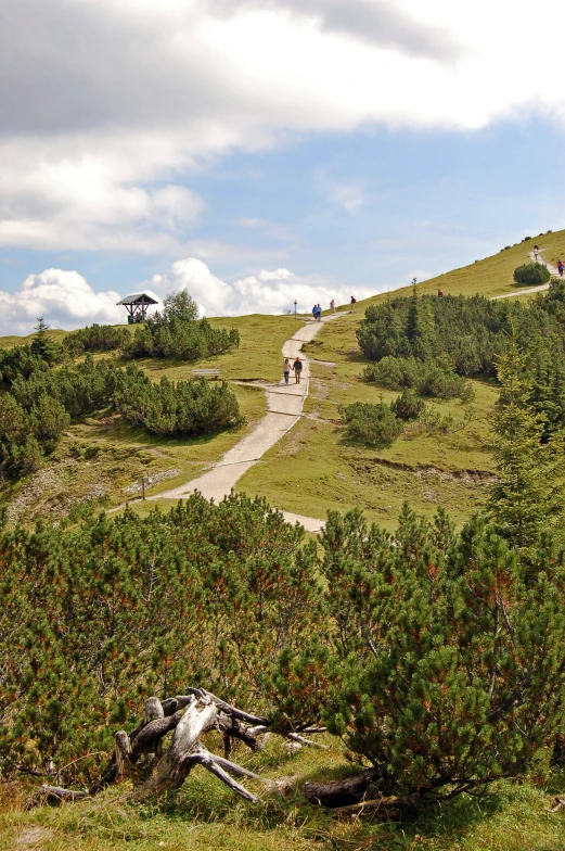 people riding bicycles up and down an incline