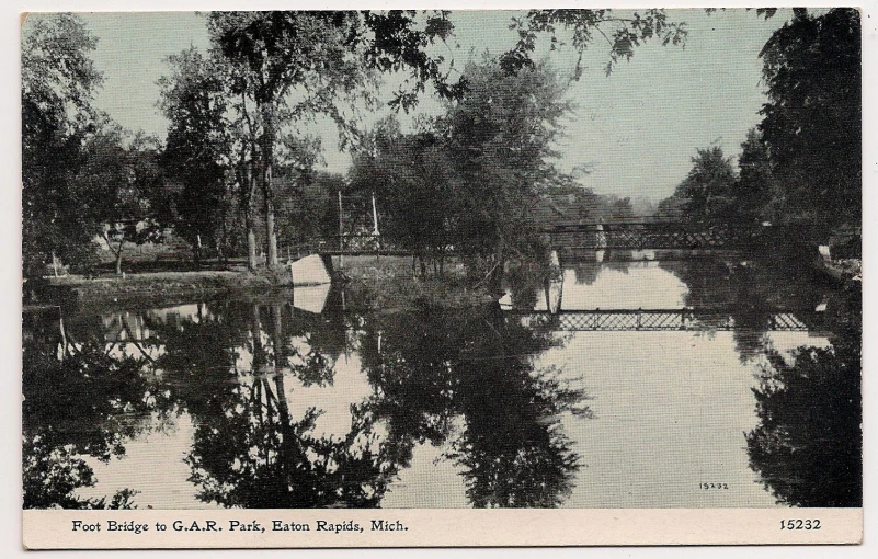 a large body of water sitting under a tree covered forest