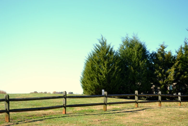 a horse stands behind a wooden fence
