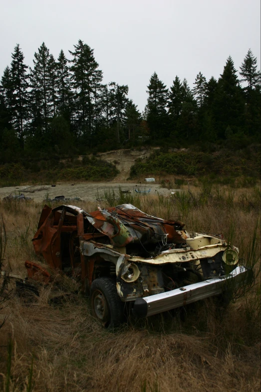 old rusty looking cars rusted and parked in grass