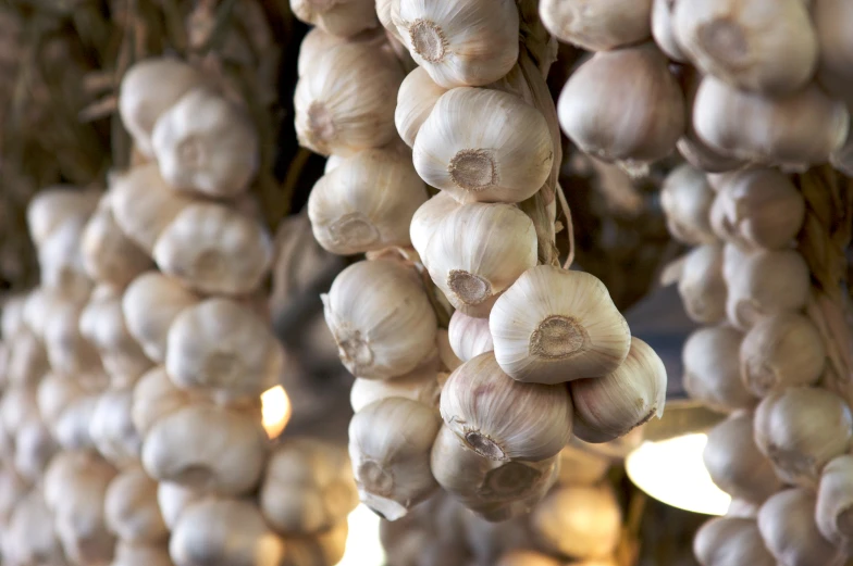 many different onions hang from the ceiling in a room