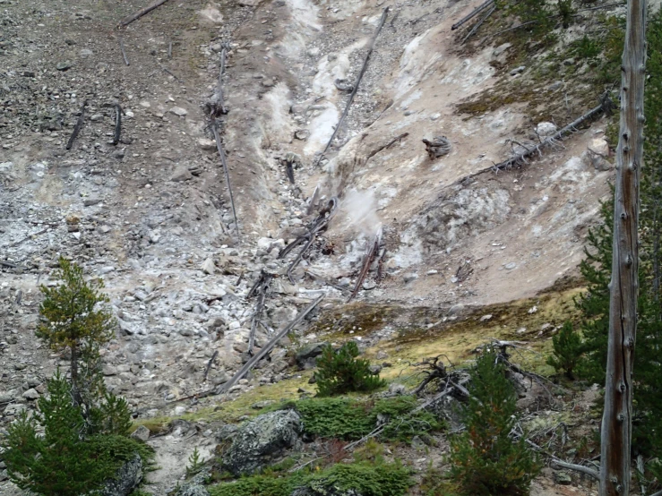 the mountain is covered in snow and trees