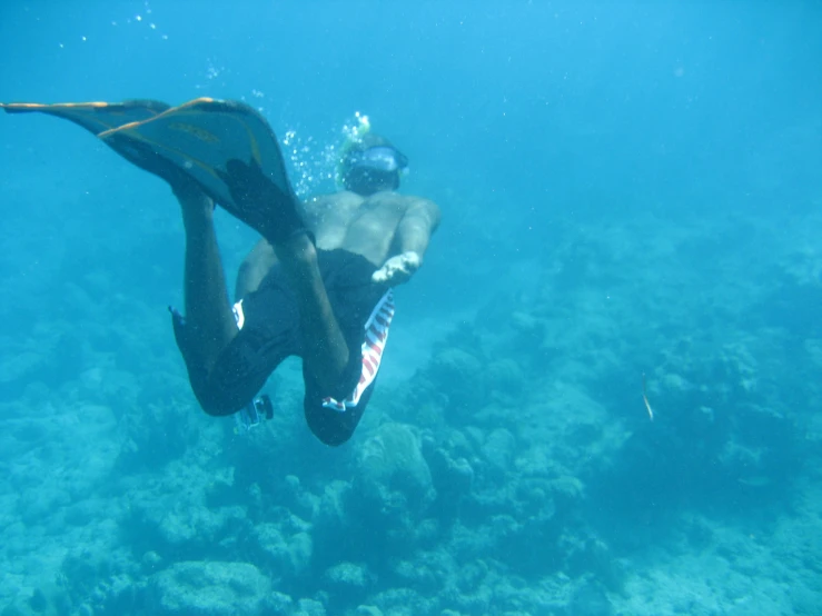 a woman swims underwater in the ocean