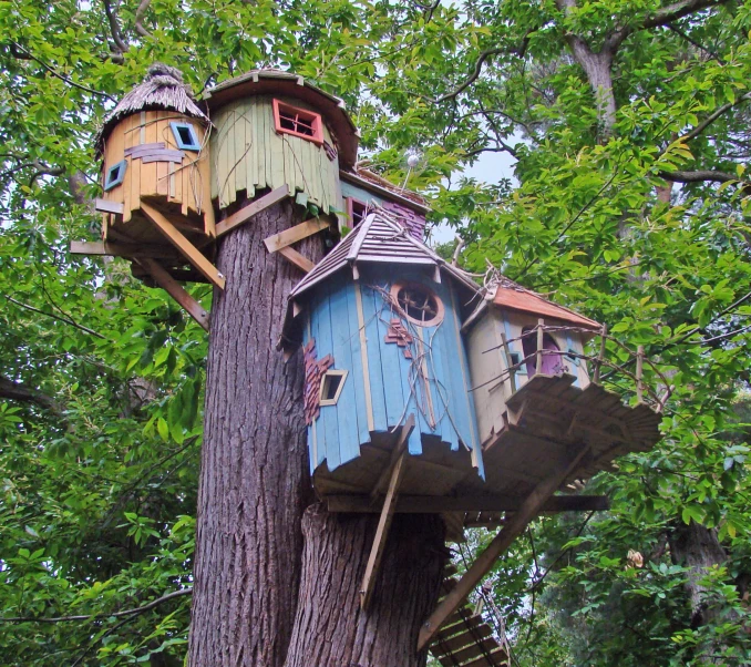 tree house built in the middle of a tree