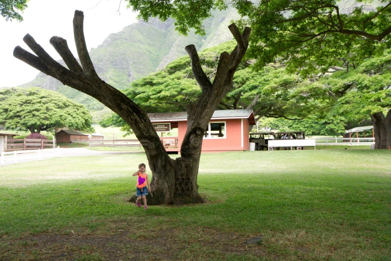 a little girl sits on the ground under a tree