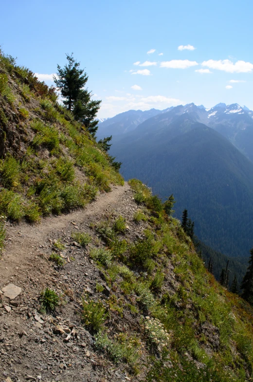 a path in the mountains with trees near by