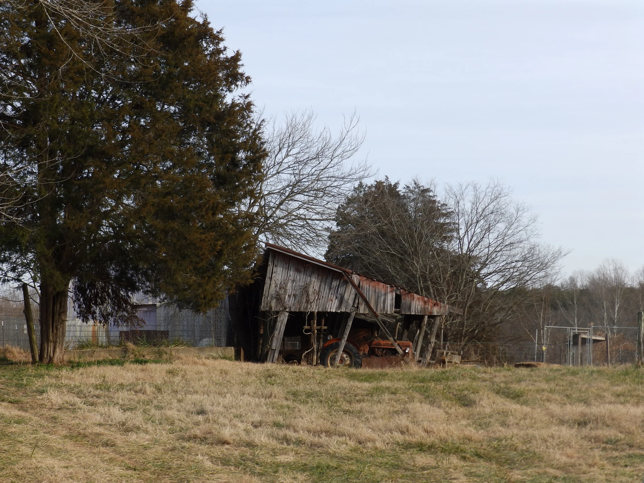 old barn with tree in foreground with fence surrounding it