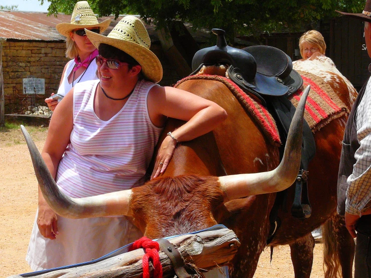 an individual wearing a hat and standing near a cow