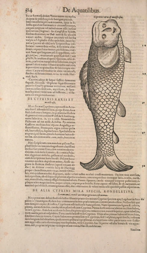 an old fish drawing on top of a book