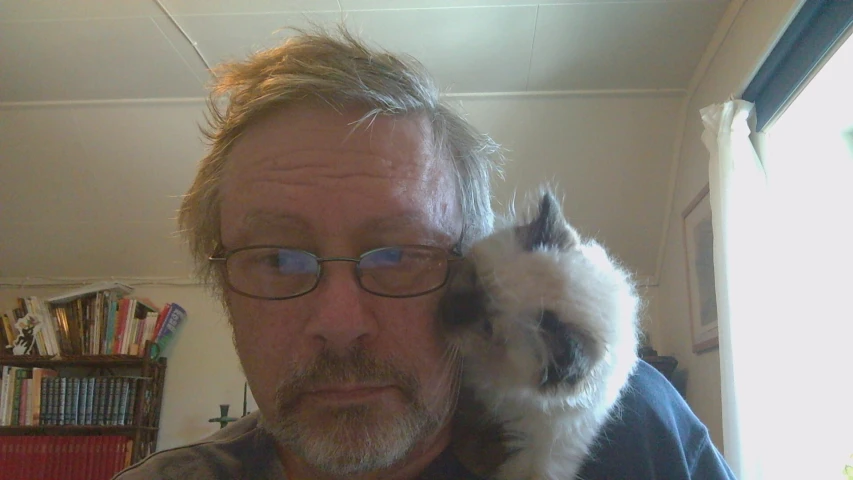 a man with a beard holds a small cat