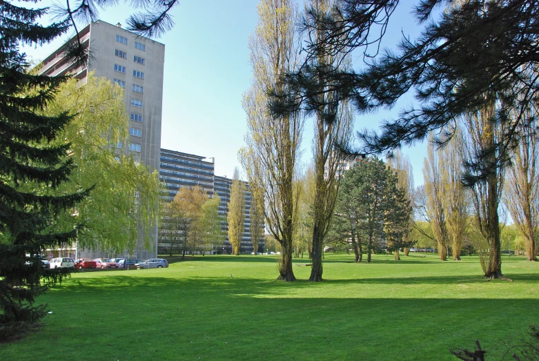 the view from the grass looking towards a park