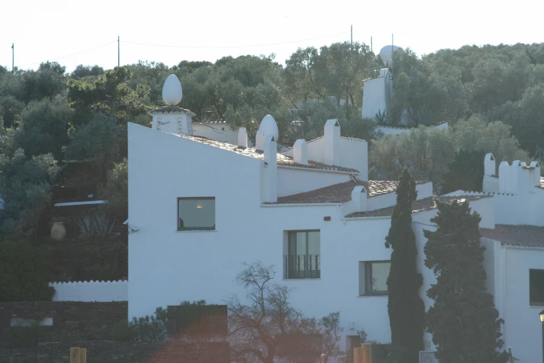 a very tall house with windows and many shrubs