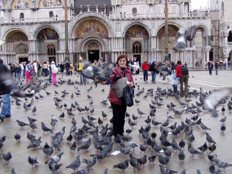 the woman is surrounded by many pigeons in the plaza