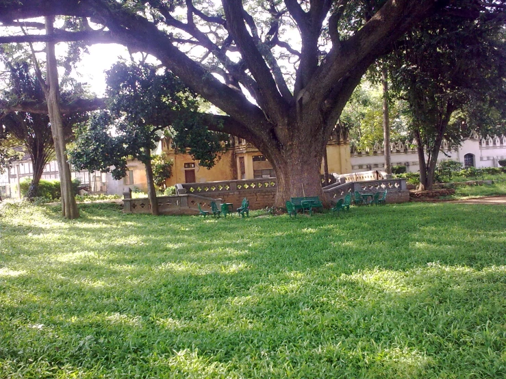 the lawn in front of the house is almost empty