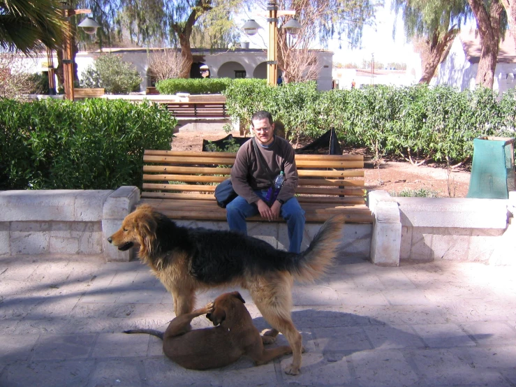 a man sitting on a park bench with a dog laying in the shade