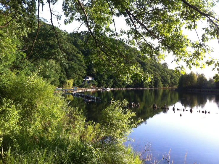 the boat is anchored near the trees on the lake